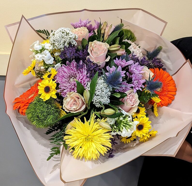 PXL 20221227 203451570.MP