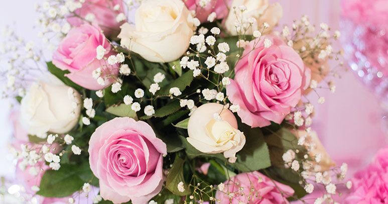 Blooming Beginnings
