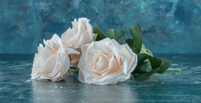 Calgary florists