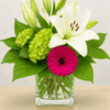 white lily