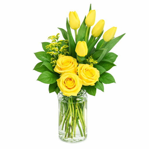 yellow rose